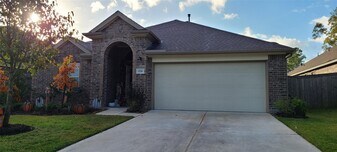 2710 Little Caney Way in Conroe, TX - Building Photo