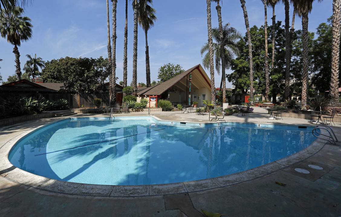 The Islander Apartments in Santa Ana, CA - Foto de edificio