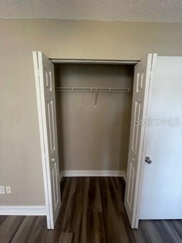 4015 My Lady Ln in Land O Lakes, FL - Building Photo - Building Photo