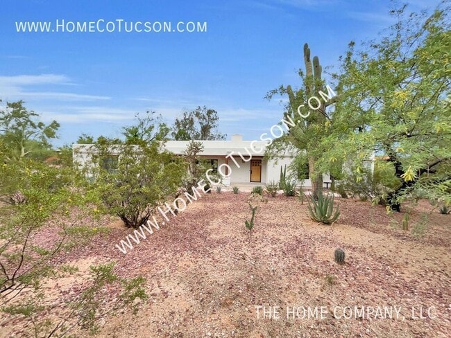 1005 W Los Altos Rd in Tucson, AZ - Building Photo - Building Photo