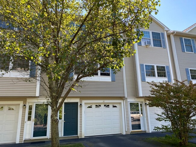 property at 1029 S Mammoth Rd