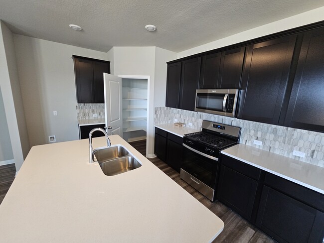 3708 Sweet Watermelon Ln in Buda, TX - Building Photo - Building Photo