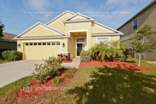 8716 Sandy Plains Dr in Riverview, FL - Building Photo