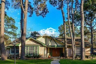 4903 Wind Chimes Dr in Houston, TX - Building Photo