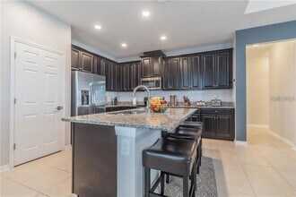 30927 Parrot Reef Ct in Wesley Chapel, FL - Building Photo - Building Photo