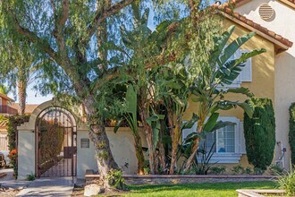 Spring Lake Apartments in Anaheim, CA - Building Photo - Building Photo