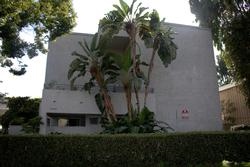 12642 Moorpark St in Studio City, CA - Building Photo - Building Photo