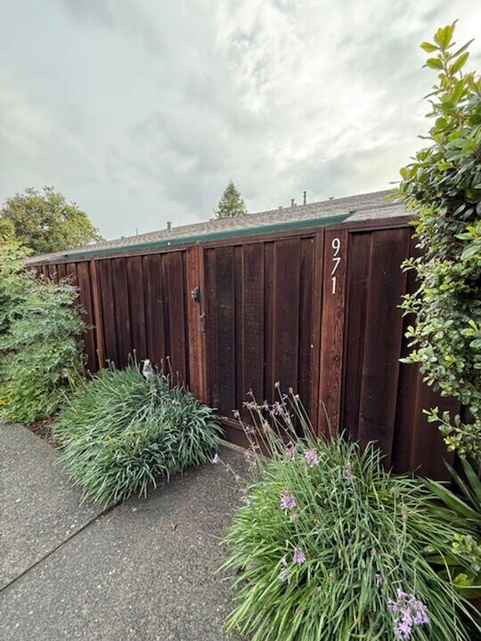 971 Santa Cruz Way in Rohnert Park, CA - Building Photo