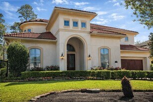 43 W Loftwood Cir in The Woodlands, TX - Building Photo