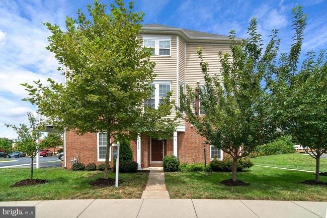 22664 Amberjack Square