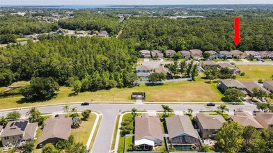 376 Rosalind Ln in Oldsmar, FL - Foto de edificio - Building Photo