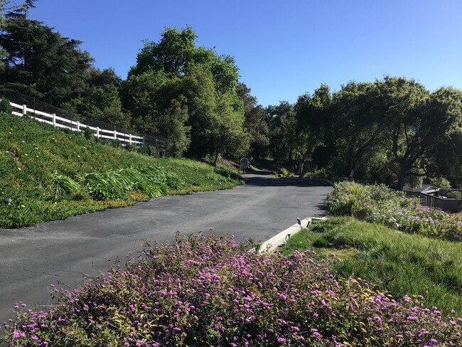 20675 View Oaks Way in San Jose, CA - Building Photo - Building Photo