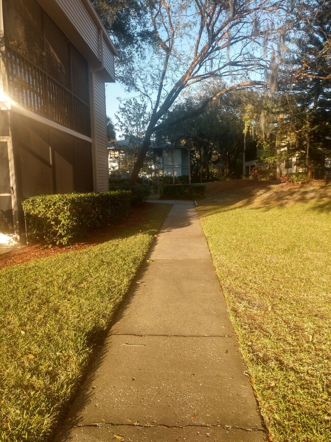 2375 Fox Chase Blvd in Palm Harbor, FL - Building Photo - Building Photo
