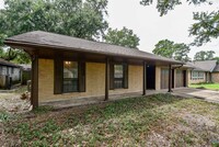 16315 Hollow Wood Dr in Houston, TX - Building Photo - Building Photo