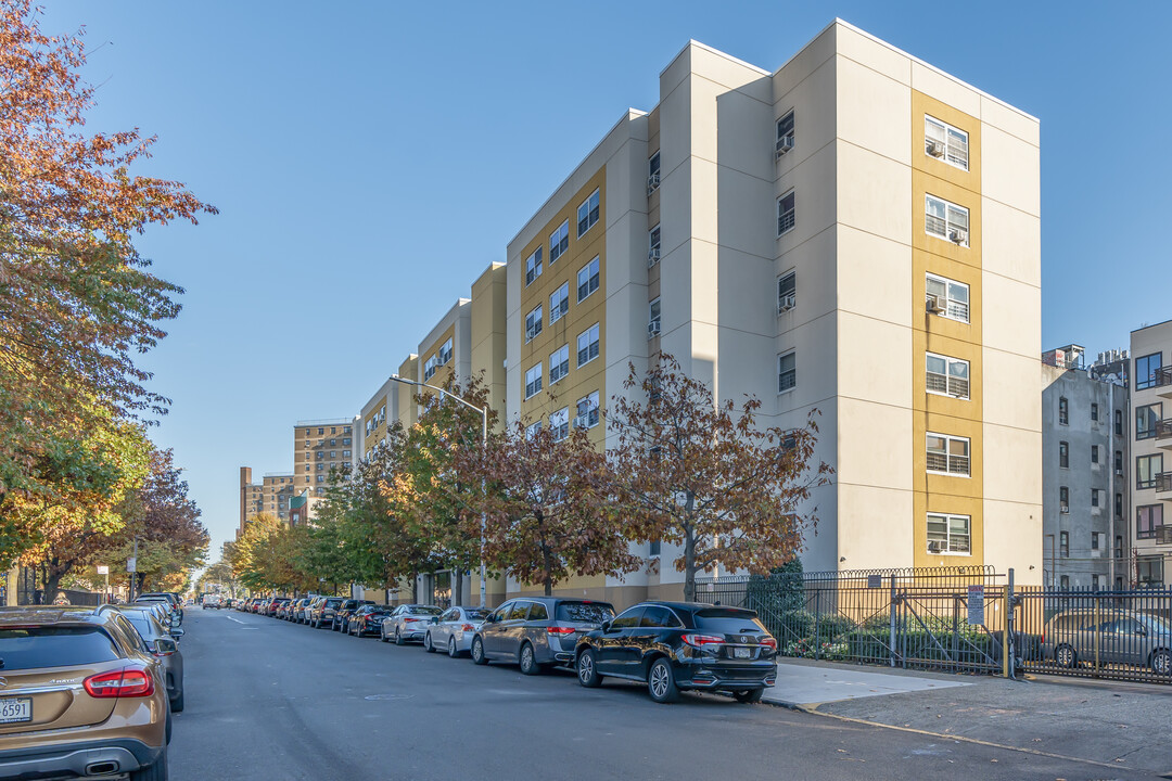 250 Pulaski St in Brooklyn, NY - Building Photo