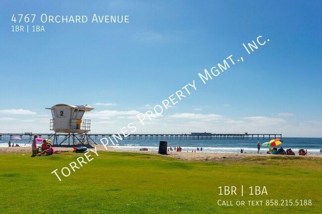 4767 Orchard Ave in San Diego, CA - Building Photo - Building Photo
