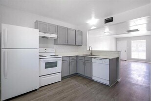 313 Rose St in Arlington, TX - Building Photo