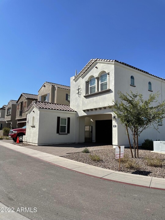 282 E Azalea Dr in Chandler, AZ - Building Photo