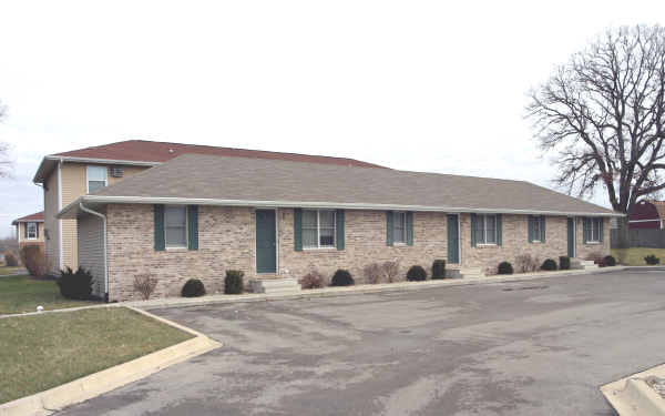 385 E Reed St in Braidwood, IL - Building Photo