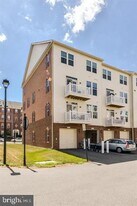 21613 Romans Dr in Ashburn, VA - Building Photo