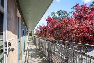 24035 2nd St in Hayward, CA - Building Photo - Building Photo