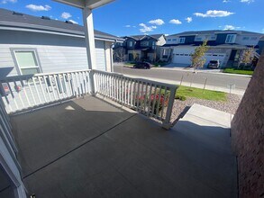 238 Silver Rock Trl in Castle Rock, CO - Building Photo - Building Photo