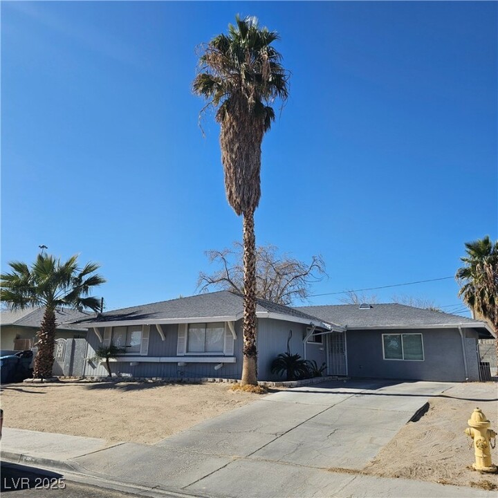 213 Orchid Dr in Las Vegas, NV - Building Photo