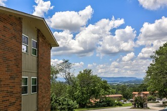 City View Apartments in Chattanooga, TN - Building Photo - Building Photo