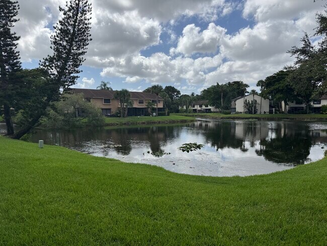 property at 3733 Carambola Cir N