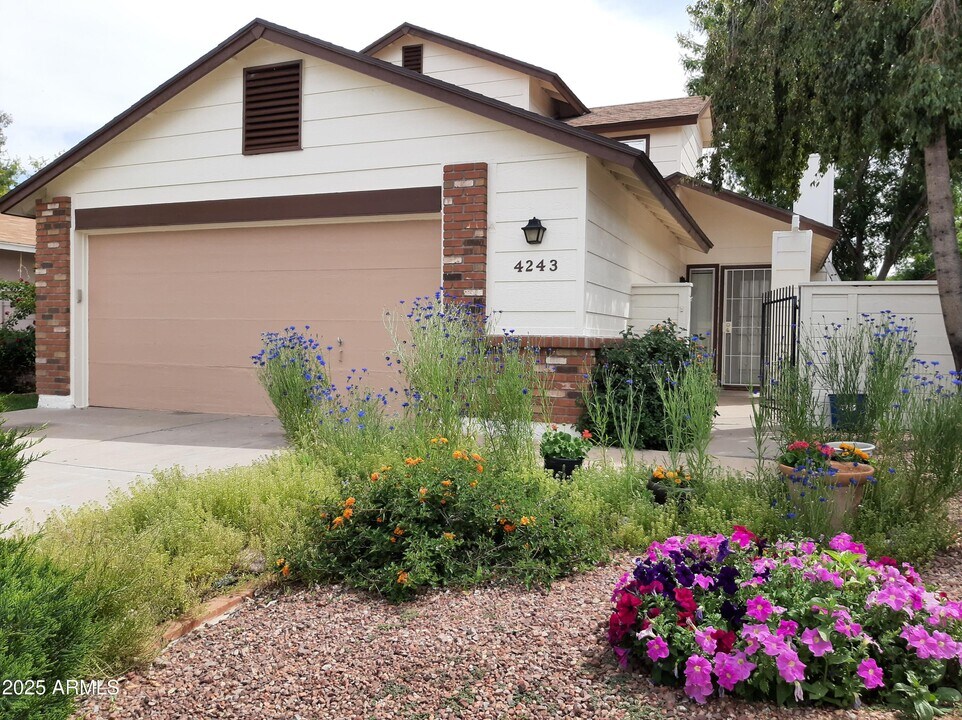 4243 E Contessa St in Mesa, AZ - Building Photo