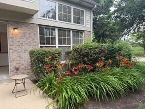 1886 Grove Ave in Schaumburg, IL - Foto de edificio - Building Photo