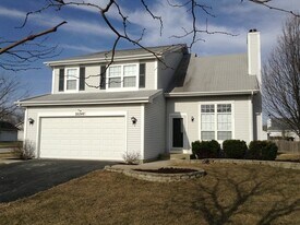 26248 Apple Blossom Ln in Monee, IL - Building Photo