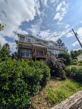 3 Alice Clement Ln in Asheville, NC - Building Photo - Building Photo