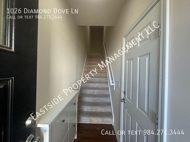 1026 Diamond Dove Ln in Apex, NC - Foto de edificio - Building Photo