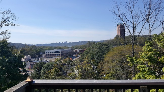 Tusculum View