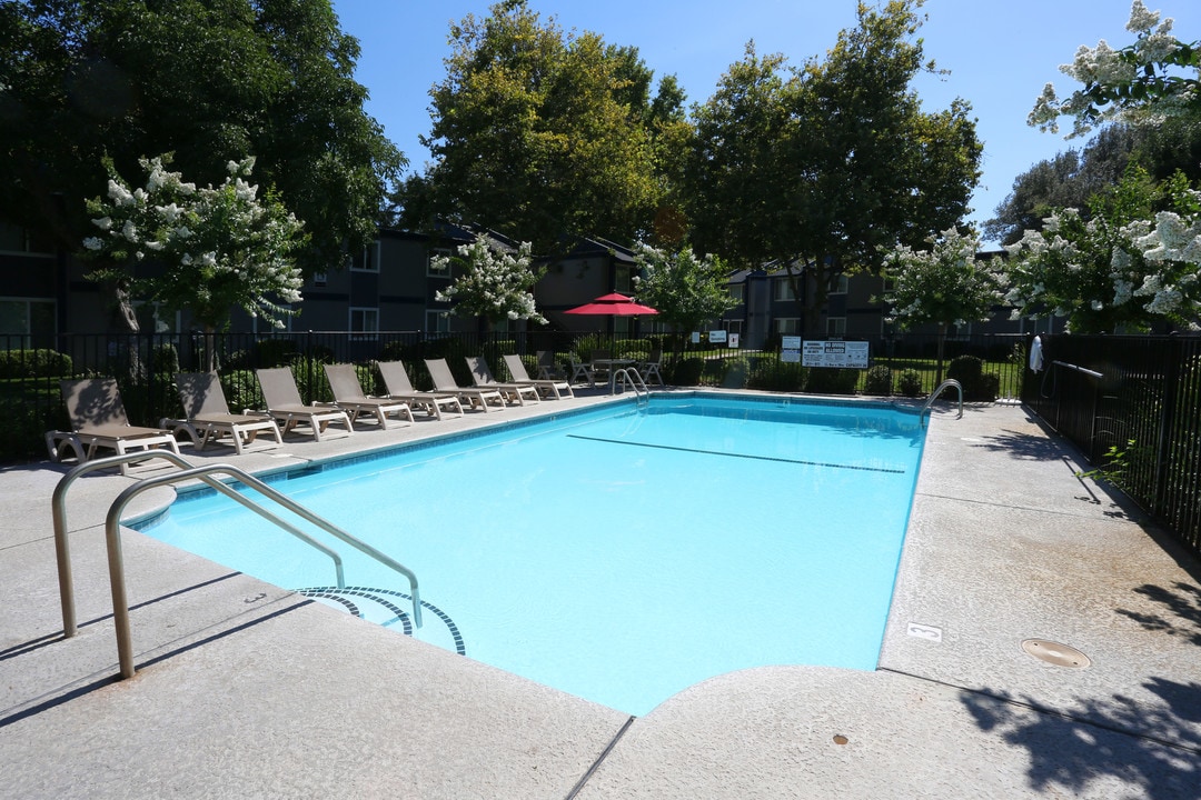 Forest Park in Chico, CA - Foto de edificio