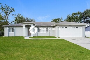 23249 Dover Dr in Land O Lakes, FL - Building Photo