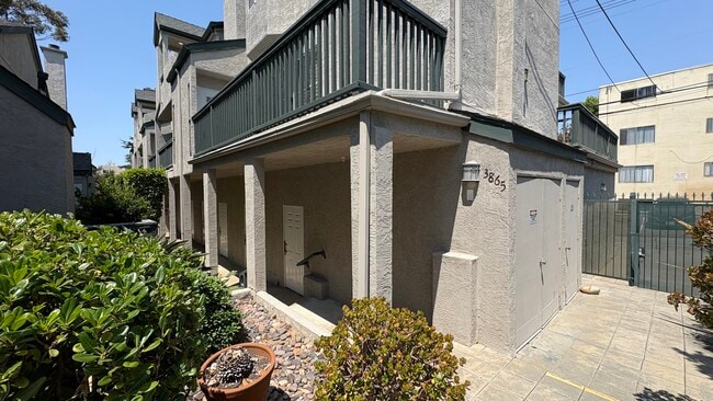 property at 3865 Albatross St