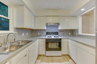 1701 Jennie Ave in Austin, TX - Building Photo - Building Photo