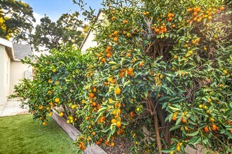 363 E 63rd St in Long Beach, CA - Building Photo - Building Photo