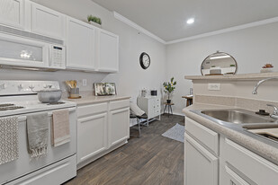 Canopy at South Lakes Apartments