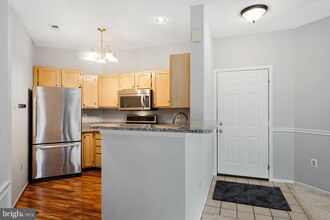 14324 Climbing Rose Way in Centreville, VA - Building Photo - Building Photo