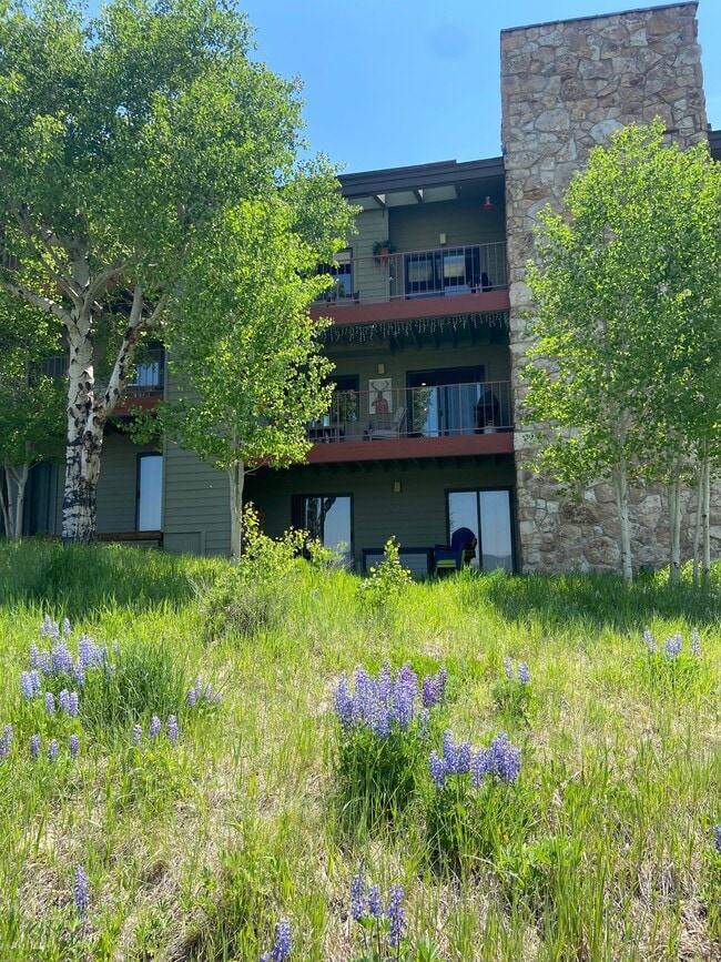 property at 35 Arapahoe Cir