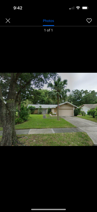 1402 Glengarry Dr in Palm Harbor, FL - Building Photo