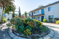 Gold Run Apartments in Rancho Cordova, CA - Building Photo - Building Photo