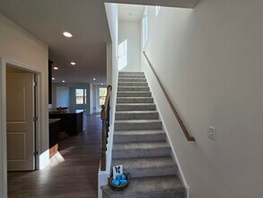 24408 W Alexis Ln in Plainfield, IL - Building Photo - Building Photo