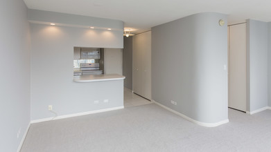 1313 N Ritchie Ct-Unit -2303 in Chicago, IL - Building Photo - Building Photo