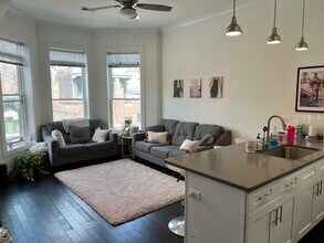 161 W Schiller St, Unit 3 in Chicago, IL - Building Photo - Building Photo