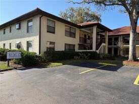 1711 Hammock Pine Blvd in Clearwater, FL - Building Photo