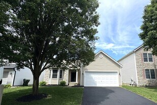8613 Clover Glade Dr in Lewis Center, OH - Building Photo